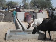 Multi usage du puits de wagourou © Mali médicaments