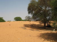 Meilleure santé à Dara par l'accès à l'eau potable - Mauritanie