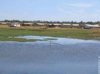 Zone de bas-fond inondable, dont il est nécessaire d'aménager l'assainissement.