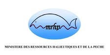 Résultat de recherche d'images pour