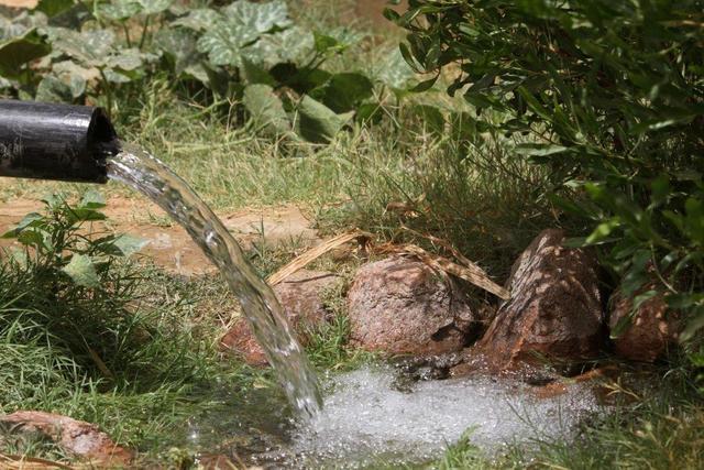 Irrigation des jardins maraîchers © Sylvie Chappaz