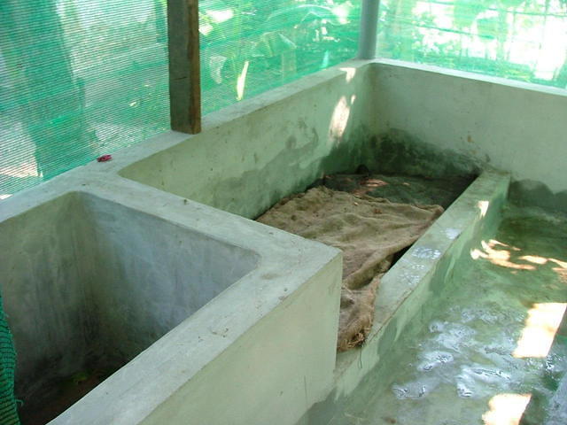 Système de vermi-compostage des déchets