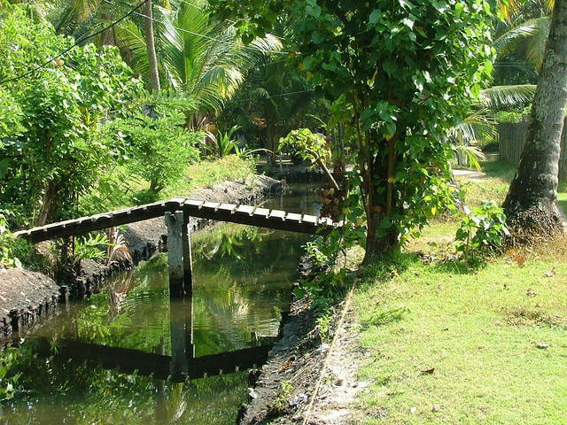 Un canal (back-water) réhabilité (était auparavant comblé de déchets).