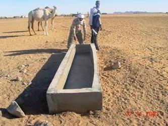 Abreuvoir pour les animaux