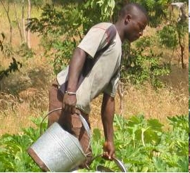 Arrosage par un horticulteur