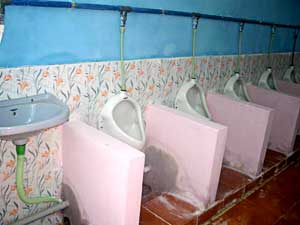 Ecosan toilet complex in Kameshwaram school