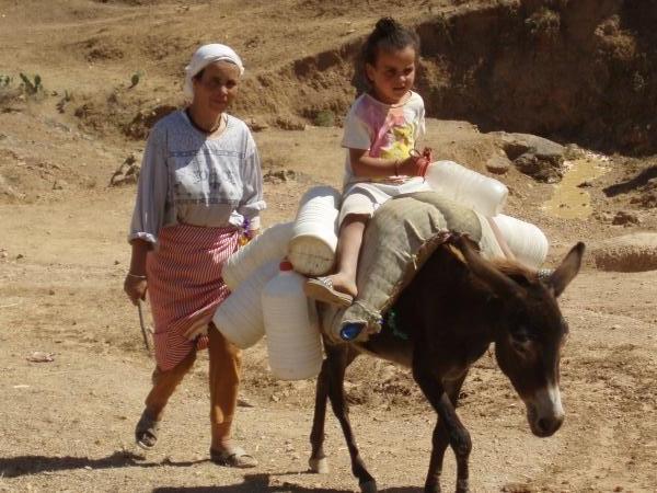 Le transport de l'eau par l'âne