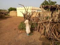 Alimentation en eau potable des villages de Madina et Alahina (Mali)