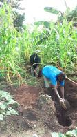 Extension d'un réseau AEP dans la commune de Kpalimé (Togo)