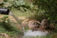 Irrigation des jardins maraîchers © Sylvie Chappaz