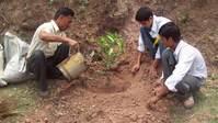 Chaque enfant plante son arbre (initiative « un enfant un arbre »), ici à l’école de Panjahal