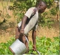 Arrosage par un horticulteur