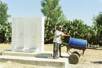 Porteur d'eau, avec sa charrette à âne, à la borne-fontaine