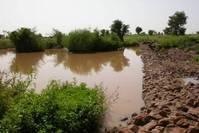 Digue facilitant l'infiltration de l'eau de pluie dans la nappe © GRDR