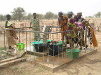 Forage Omri / Sedif (Mali)