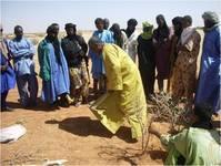 Formation des jeunes bergers