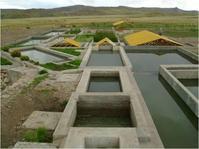 Station de traitement des eaux usées par filtration biologique (Puno - Pérou)