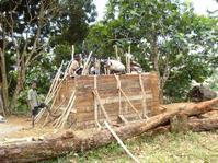 Réservoir-château d'eau de Tanambao: dans le coffrage en bois, le béton est coulé.