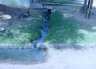 Assainissement du quartier HLM Boudody à Ziguinchor : collecte et épuration des eaux usées domestiques (Sénégal)